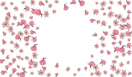 Pink Magnolia Flower Vector White Background. Japanese Sakura blossom illustration.のイラスト素材
