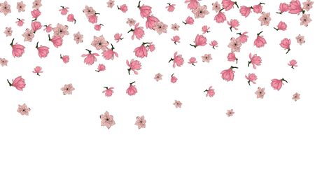 Pink Magnolia Flower Vector White Background. Japanese Sakura blossom illustration.のイラスト素材