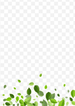 Swamp Leaves Vector Brochure. Lime Foliage Tree Pattern. Fly Concept. Grassy Greens Organic Background.のイラスト素材