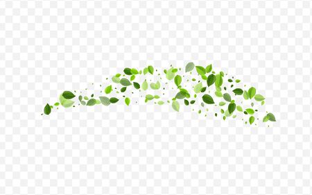 Swamp Foliage Vector Background. Forest Leaves Fresh Branch. Blur Concept. Mint Greens Fly Template.のイラスト素材
