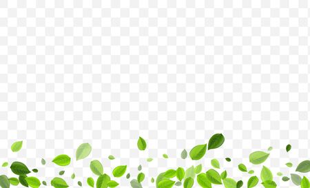 Olive Leaf Vector Illustration. Forest Foliage Forest Backdrop. Tree Banner. Grassy Greens Swirl Border.のイラスト素材