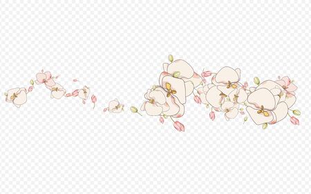 Red Orchid Painting Vector Transparent Background. Spa Bouquet Banner. Color Flower Realistic Brochure. Branch Spring Decoration.のイラスト素材