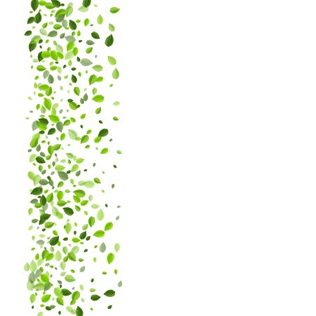 Olive Greens Transparent Vector Concept. Falling Foliage Poster. Grassy Leaf Flying Border. Leaves Blur Backdrop.のイラスト素材