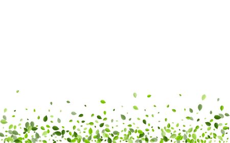 Lime Greens Falling Vector Branch. Transparent Leaf Illustration. Olive Leaves Flying Wallpaper. Foliage Forest Plant.のイラスト素材