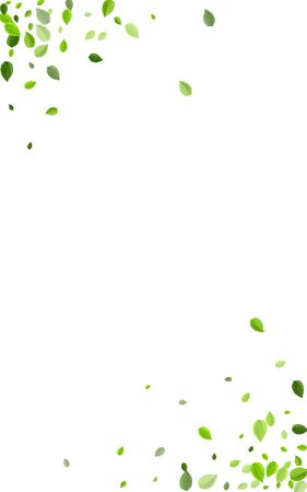 Green Foliage Blur Vector Template. Transparent Greens Banner. Forest Leaves Spring Wallpaper. Leaf Flying Plant.のイラスト素材