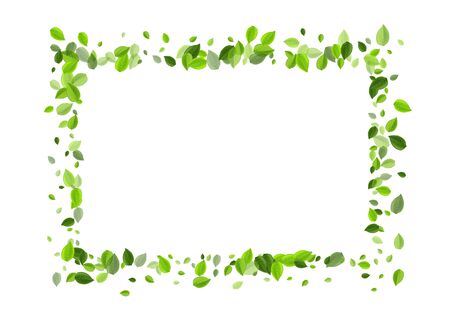 Lime Foliage Flying Vector Border. Fresh Leaf Concept. Grassy Greens Fly Brochure. Leaves Organic Poster.のイラスト素材