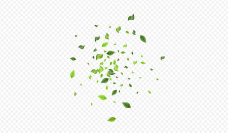 Lime Foliage Herbal Vector Transparent Background Poster. Tree Greenery Template. Mint Leaf Fresh Border. Leaves Nature Illustration.のイラスト素材