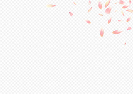 Red Sakura Vector Transparent Background. Peach Springtime Pattern. Leaf Free Card. Cherry Nature Illustration. Color Blossom Marriage Texture.のイラスト素材