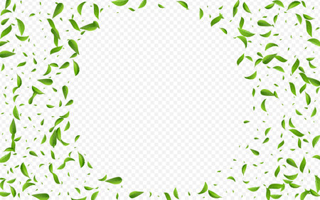 Green Leaf Falling Vector Transparent Background Border. Abstract Leaves Wallpaper. Forest Foliage Fresh Plant. Green Spring Banner.のイラスト素材