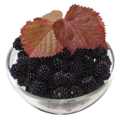 bowl with blackberries and red leafsの写真素材