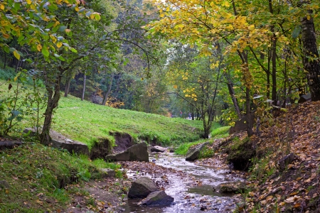 brook in the autumn park の写真素材