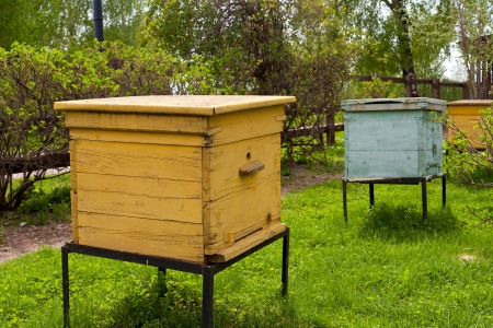 beehives  in the gardenの写真素材