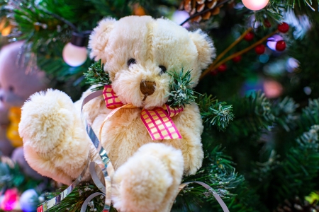 christmas teddy bearの写真素材