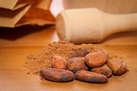 cocoa beans and cocoa powder on the tableの写真素材