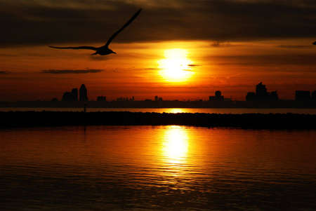 Toronto view before dusk time. Sun is going down.の写真素材