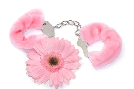 Gerbera flower and pink hand cuffs isolated over white backgroundの写真素材