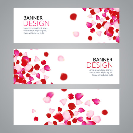 Vector Rose Petals wedding love banners. Invitation romantic love template.のイラスト素材
