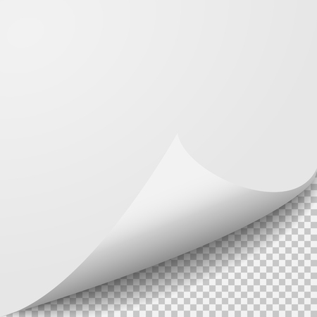 Curl corner paper template. Transparent grid. Empty isolated background page.のイラスト素材