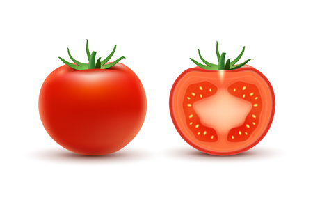 Tomato slice isolated on white. Tomato organic food photo-realistic vector illustration of healthy vegetable.のイラスト素材