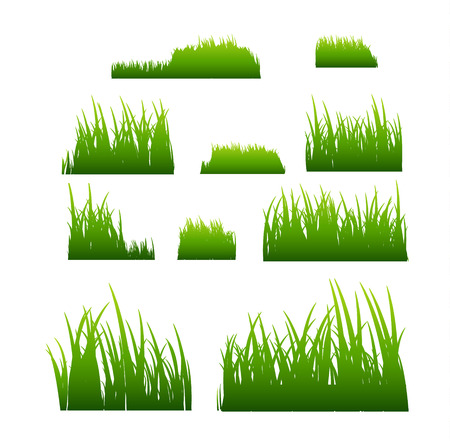 Green grass vector illustration isolated. Summer natural grassy green plant for garden. Grass template.のイラスト素材
