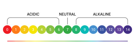 pH scale indicator chart diagram acidic alkaline measure. pH analysis vector chemical scale value test.のイラスト素材