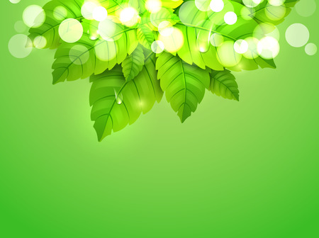 Mint leaf fresh green background pattern. Peppermint wallpaper organic freshdesign.のイラスト素材