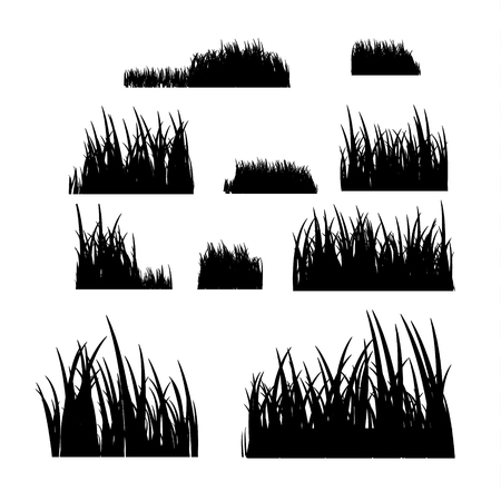 Grass meadow border vector pattern. Spring or summer plant field lawn. Black and white grass background.のイラスト素材