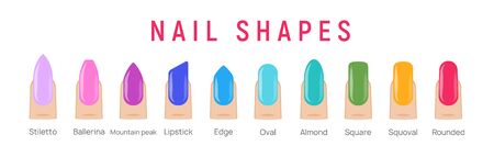 Nail shapes manicure vector art. Fingernail shape french form design fashion salonのイラスト素材