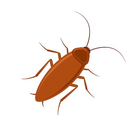 Cockroach bug vector icon. Roach silhouette insect black icon illustration pest.のイラスト素材