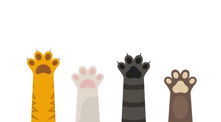 Pet paw print vector icon. Dog or cat foot black paw animal isolated illustrationのイラスト素材