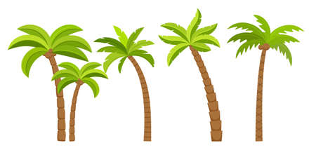 Palm tree vector island coconut cartoon icon. Palmtree island desert isolated tropical iconのイラスト素材