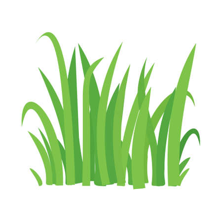 Grass vector cartoon texture. Grass field shape green silhouette plant bushのイラスト素材