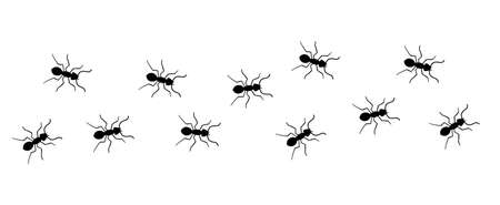 Ant vector trail marching illustration. Ant bug pest control background teamworkのイラスト素材