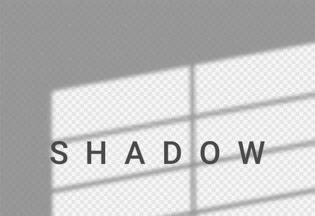 Shadow light overlay window wall scene mockup. Shadow transparent backgroundのイラスト素材