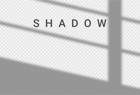 Shadow light overlay window wall scene mockup. Shadow transparent backgroundのイラスト素材