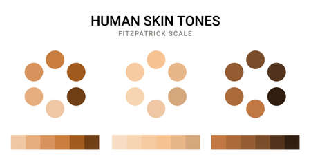 Skin tone color scale chart. Brown palette vector human skin infographic banner iconのイラスト素材