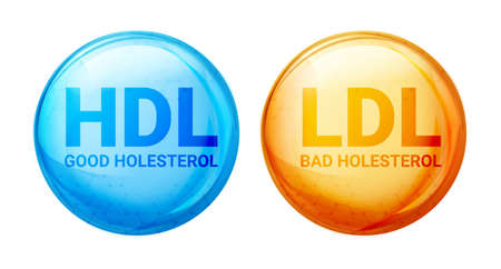 Good HDL and bad LDL cholesterol icon blood vessel density. Vector high cholesterol levelのイラスト素材