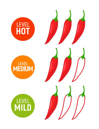 Hot pepper spicy heat level icon. Chili pepper symbol vector scale spice fire logo labelのイラスト素材
