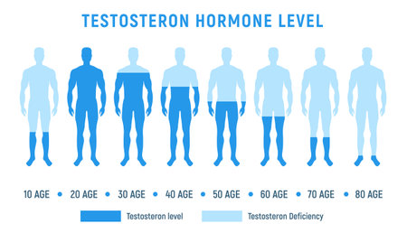 Testosterone level therapy hormone male balance science fertility illustration low level testosterone hormone level.のイラスト素材