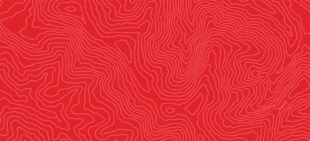 Topographic map pattern contour background geography landscape. 3d land structure map grid mountain earth abstract topography.のイラスト素材