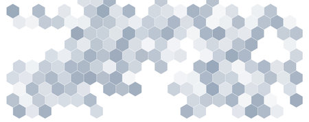 Hexagonal abstract technology grey background. Honeycomb science vector octagon texture hexagon...