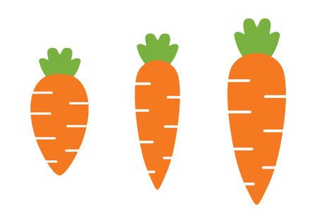 Cartoon carrot vector illustration cute icon. Isolated orange flat carrot fruit symbol logo.のイラスト素材