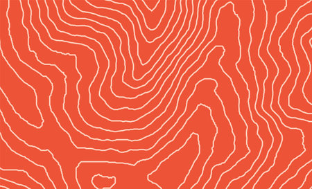 Salmon fillet texture fish pattern meat background. Sushi skin japanese food orange salmon pattern red meat.のイラスト素材