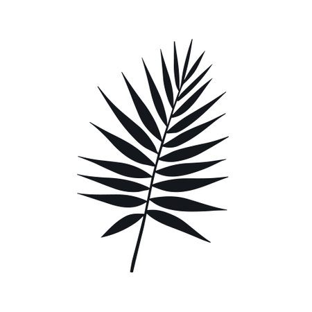 Palm summer tropical leaf silhouette icon. Jungle plant black tree foliage isolated palm exotic leaf.のイラスト素材