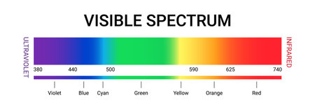 Visible spectrum color wavelength uv gamma vector illustration. Visible light spectrum science diagram.のイラスト素材