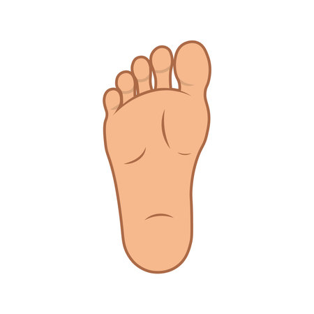 Cartoon human foot sole view with toes and skin details isolated on white backgroundのイラスト素材