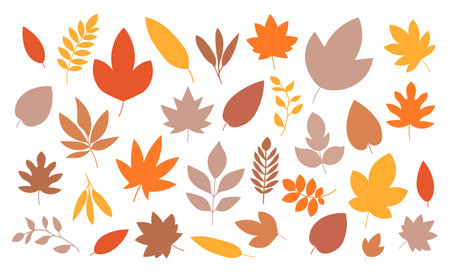 Colorful autumn leaves various shapes. Fall foliage illustration with leaves in red, orange, yellow, and greenのイラスト素材