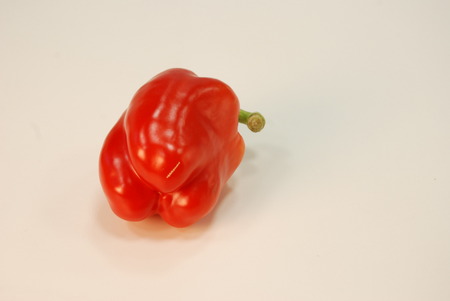 vegetablesの写真素材