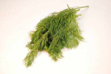 vegetablesの写真素材