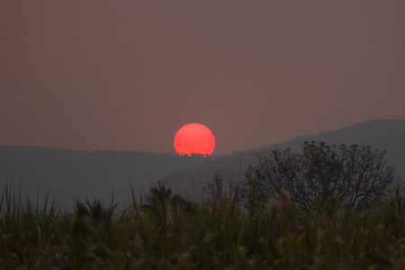 beautiful red sunset view with trees and mountainsの写真素材